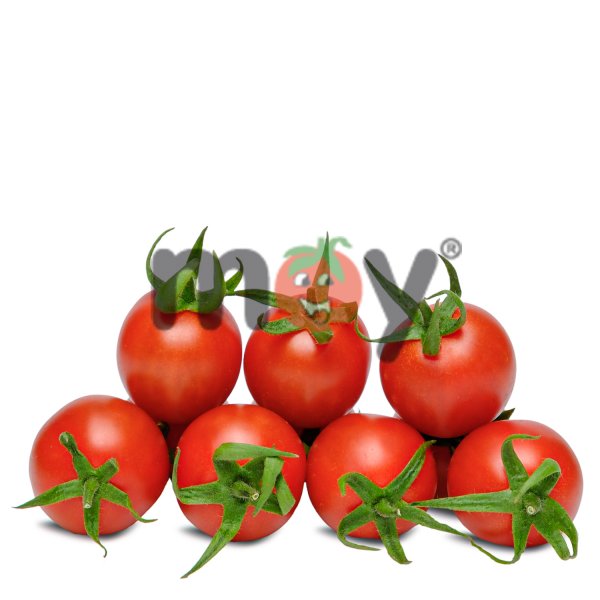 Verty Kokteyl Domates