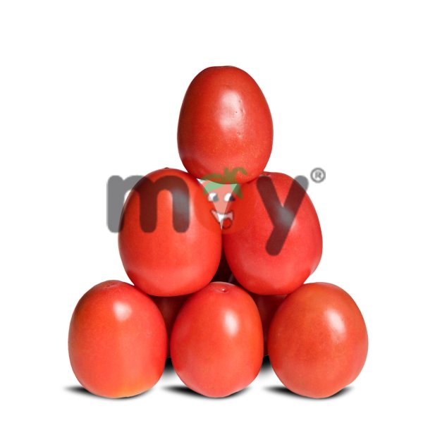 Plum-Silifka Domates